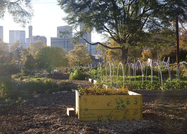 TNG home page photo.jpeg